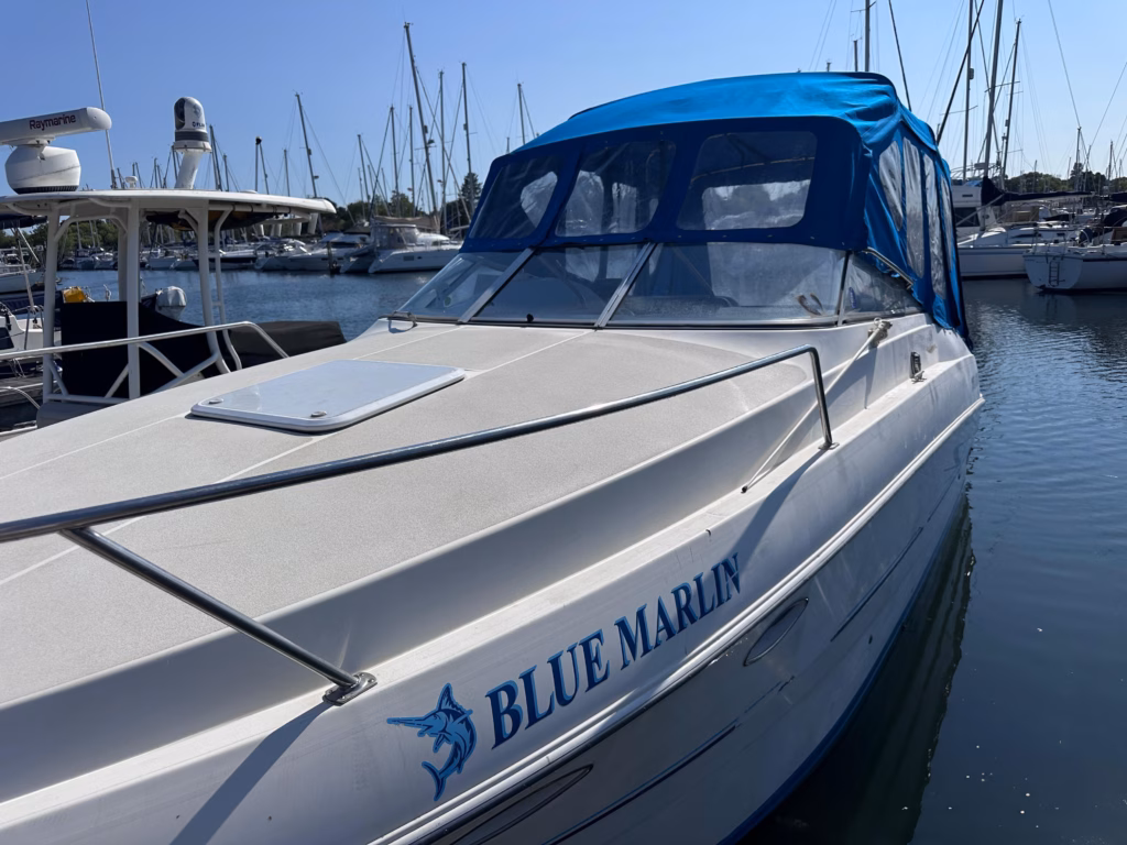 LARSON 254 CABRIO – FANTASTIC SPORTS CRUISER FOR SALE full